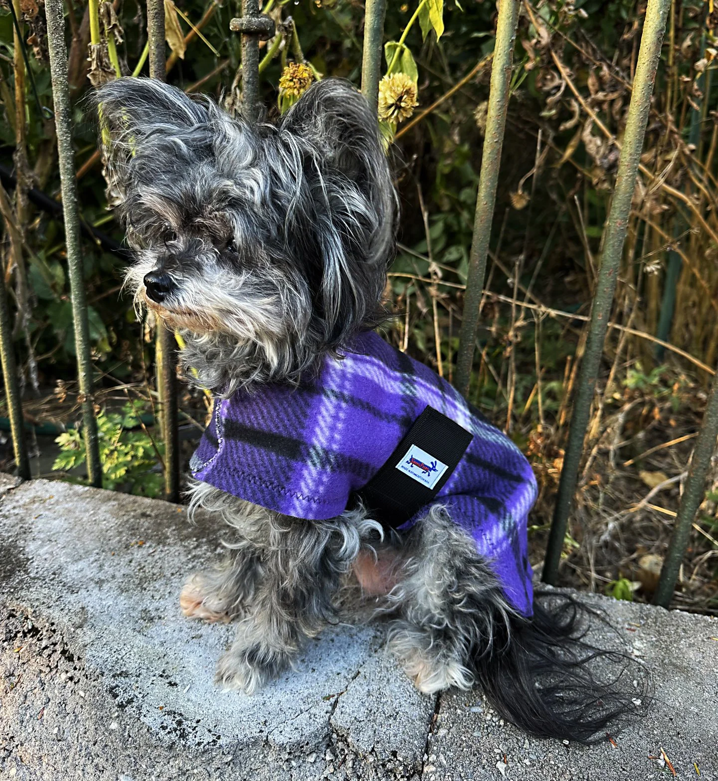 Blackwatch Plaid Fleece Dog Coat — Snugpups | Handmade Dog Coats Blackwatch Plaid Fleece Dog Coat — Snugpups | Handmade Dog Coats